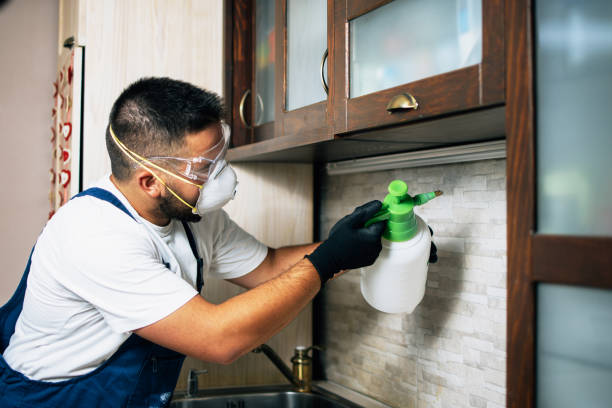 Best Mosquito Control Services  in South San Francisco, CA