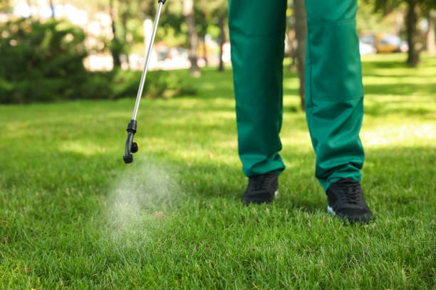 Best Exterminator Services  in South San Francisco, CA