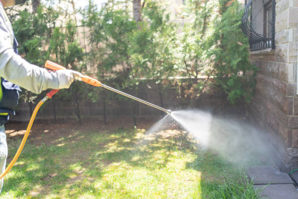 Pest Prevention Services in South San Francisco, CA