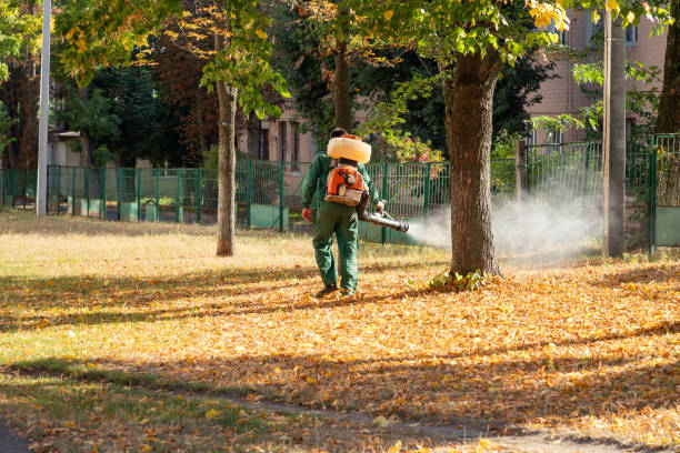 Insect Control in South San Francisco, CA