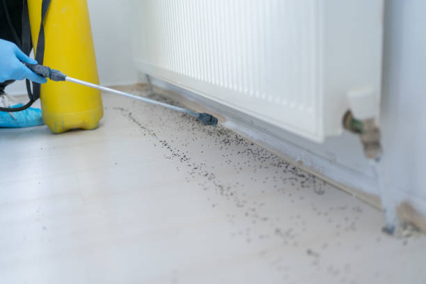 Best Best Pest Control Companies  in South San Francisco, CA
